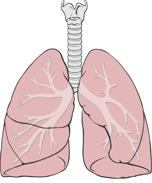 Copd Sex 21